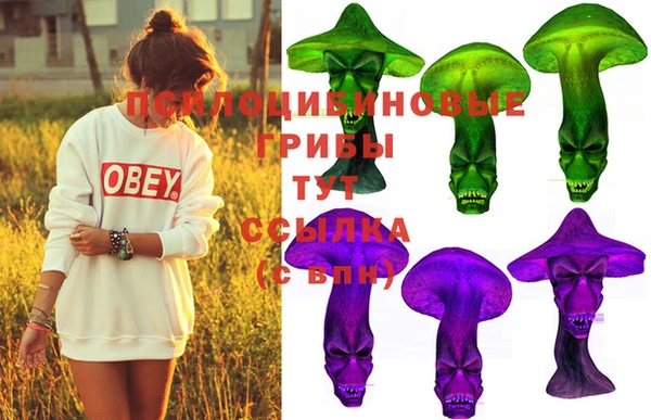 мяу мяу мука Вяземский
